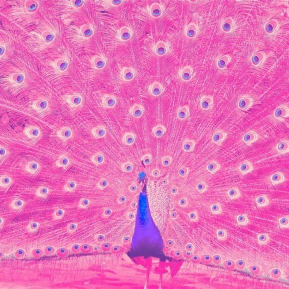 Designer Bags, Clothing, Shoes, Hermès Scarves, Accessories 💋 - Picture 10 of 15